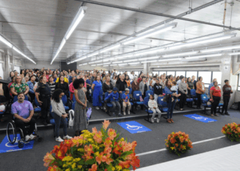 Prefeitura lança campanha 21 dias pelo Fim da Violência Contra Mulheres e Meninas