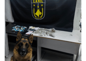 GCM de Guarulhos apreende mais de 7 kg de drogas e prende três traficantes