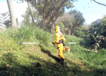 Prefeitura promove operação de limpeza no córrego dos Cubas