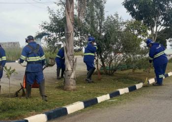 Prefeitura de Guarulhos atende mais de 27 mil solicitações de zeladoria em 11 meses