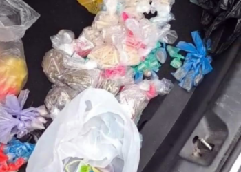 GCM prende traficante com 600 gramas de drogas no Jardim Palmira