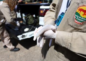 Guarulhos registra queda de mais de 93% nos casos de dengue em 2025 e mantém vigilância permanente