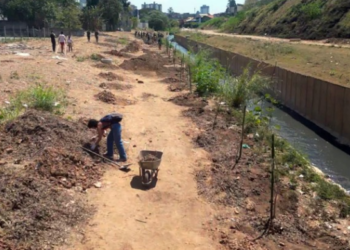 Prefeitura realizará plantio de árvores às margens do córrego do Cubas neste sábado