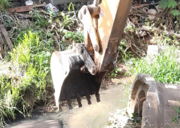 Prefeitura promove limpeza de travessias de córrego no Recreio São Jorge