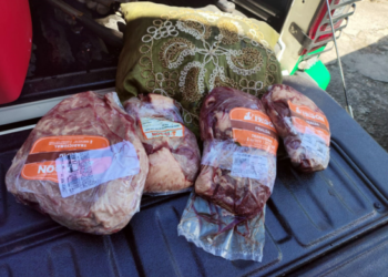 GCM prende casal por furto em comércio no Jardim Santa Emília