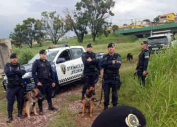 Operação Ordem e Paz da GCM prende seis criminosos e recupera cinco veículos