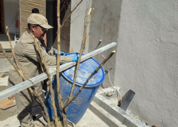 Prefeitura de Guarulhos combate a dengue em 56 locais da cidade