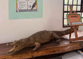 Zoológico de Guarulhos realiza atividades pelo Dia Mundial de Darwin em fevereiro