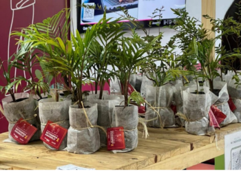 Zoológico realiza doação gratuita de mudas de árvores nativas da Mata Atlântica