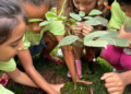 Voluntários participam de plantio de árvores nativas da Mata Atlântica no Bosque Maia