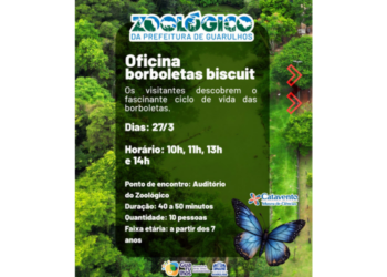 Zoológico e Catavento promovem oficina Borboletas Biscuit nesta sexta-feira