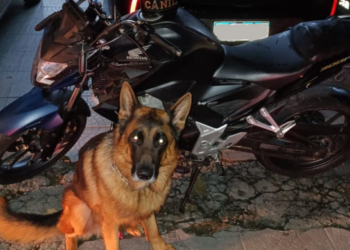 GCM recupera motocicleta roubada em Cumbica