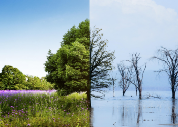 Prefeitura comemora do Dia Mundial da Água com evento no Bosque Maia nesta sexta-feira