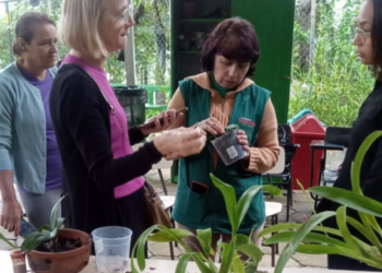 Orquídeas e minhocas fecham agenda ambiental de março no CEA Virgínia Ranali