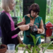 Orquídeas e minhocas fecham agenda ambiental de março no CEA Virgínia Ranali