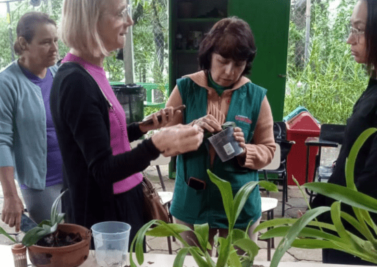 Orquídeas e minhocas fecham agenda ambiental de março no CEA Virgínia Ranali