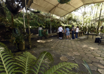 Meio Ambiente abre inscrições para nova edição da oficina SOS Orquídeas