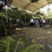 Meio Ambiente abre inscrições para nova edição da oficina SOS Orquídeas