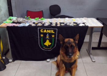 GCM de Guarulhos prende três traficantes e apreende 1,8 kg de drogas