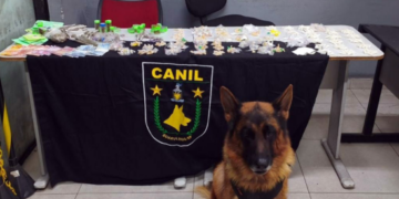 GCM de Guarulhos prende três traficantes e apreende 1,8 kg de drogas