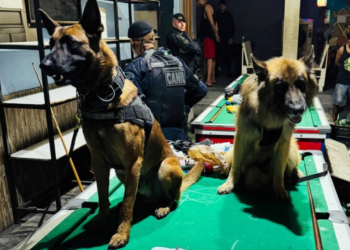 GCM prende dois traficantes, apreende drogas e máquinas caça-níqueis em bar no Macedo   