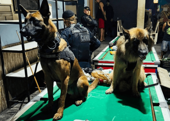 GCM prende dois traficantes, apreende drogas e máquinas caça-níqueis em bar no Macedo