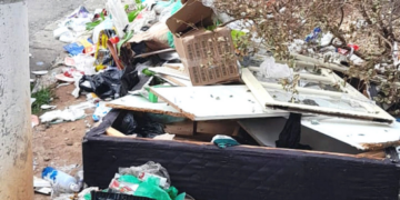 Prefeitura remove descarte irregular em diversas regiões da cidade – LIMPEZA URBANA