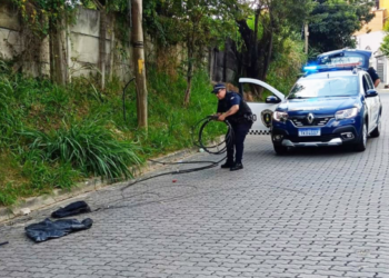 GCM prende homem por furto de cabos de telefonia no bairro Água Chata – SEGURANÇA