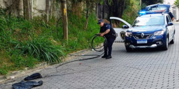 GCM prende homem por furto de cabos de telefonia no bairro Água Chata – SEGURANÇA