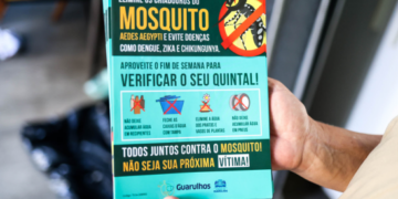 Prefeitura mantém ações de rotina contra a dengue e orienta população a vistoriar o quintal no fim de semana – SAÚDE PÚBLICA
