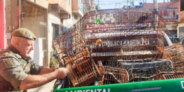 GCM apreende 19 aves silvestres e combate cativeiro ilegal na cidade – PROTEÇÃO AMBIENTAL