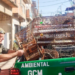 GCM apreende 19 aves silvestres e combate cativeiro ilegal na cidade – PROTEÇÃO AMBIENTAL