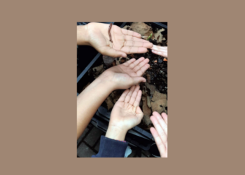 Bosque Maia em Guarulhos realiza oficina de minhocultura para compostagem – EDUCAÇÃO AMBIENTAL