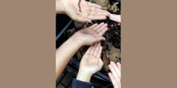 Bosque Maia em Guarulhos realiza oficina de minhocultura para compostagem – EDUCAÇÃO AMBIENTAL