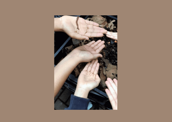 Bosque Maia em Guarulhos realiza oficina de minhocultura para compostagem – EDUCAÇÃO AMBIENTAL