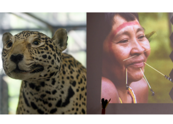 Zoológico de Guarulhos celebra saberes ancestrais dos povos indígenas ao longo de Abril – EVENTO CULTURAL GRATUITO