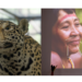 Zoológico de Guarulhos celebra saberes ancestrais dos povos indígenas ao longo de Abril – EVENTO CULTURAL GRATUITO