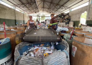 Guarulhos recolhe 5,3 mil toneladas de recicláveis em 2025 e busca ampliar adesão da população