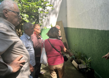 Curso de introdução à criação de abelhas nativas sem ferrão reúne admiradores no Bosque Maia