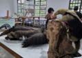 Zoológico e Bosque Maia divulgam agendas ambientais de Abril com participação gratuita