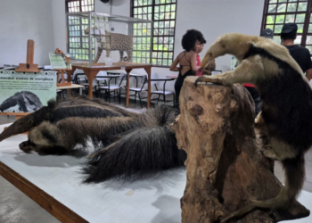 Zoológico e Bosque Maia divulgam agendas ambientais de Abril com participação gratuita
