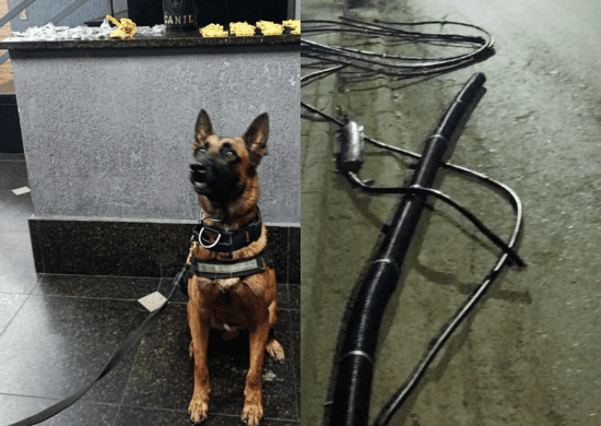 GCM prende quatro criminosos e combate tráfico e furto de fios em Guarulhos – SEGURANÇA