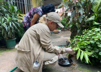 CCZ percorre todas as regiões de Guarulhos em cinco dias com ações de combate à dengue – SAÚDE PÚBLICA