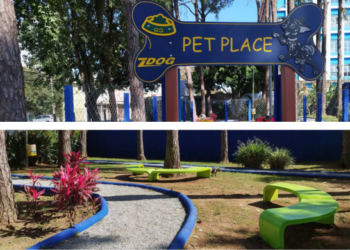 Prefeitura entrega o Parque Cemear totalmente revitalizado – ZELADORIA URBANA