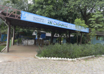 Zoo de Guarulhos recebe inscrições para processo seletivo de estágio curricular obrigatório do 3º trimestre