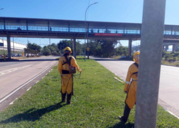 Prefeitura de Guarulhos promove a roçagem do mato alto no Jardim Adriana e Taboão – ZELADORIA URBANA