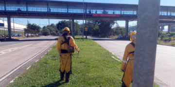 Prefeitura de Guarulhos promove a roçagem do mato alto no Jardim Adriana e Taboão – ZELADORIA URBANA