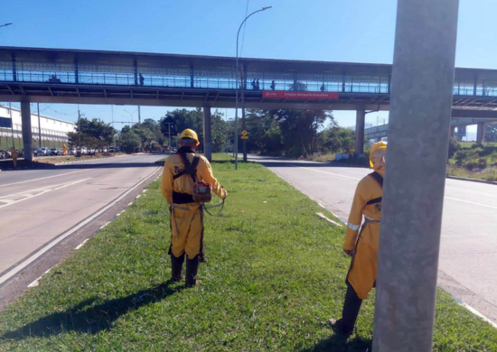 Prefeitura de Guarulhos promove a roçagem do mato alto no Jardim Adriana e Taboão – ZELADORIA URBANA