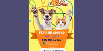 Shopping de Guarulhos recebe feira de adoção de cães e gatos neste sábado, no bairro Bonsucesso