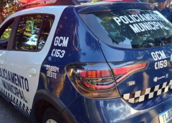 GCM de Guarulhos flagra furto de cabos de telefonia no Jardim Baruch – SEGURANÇA